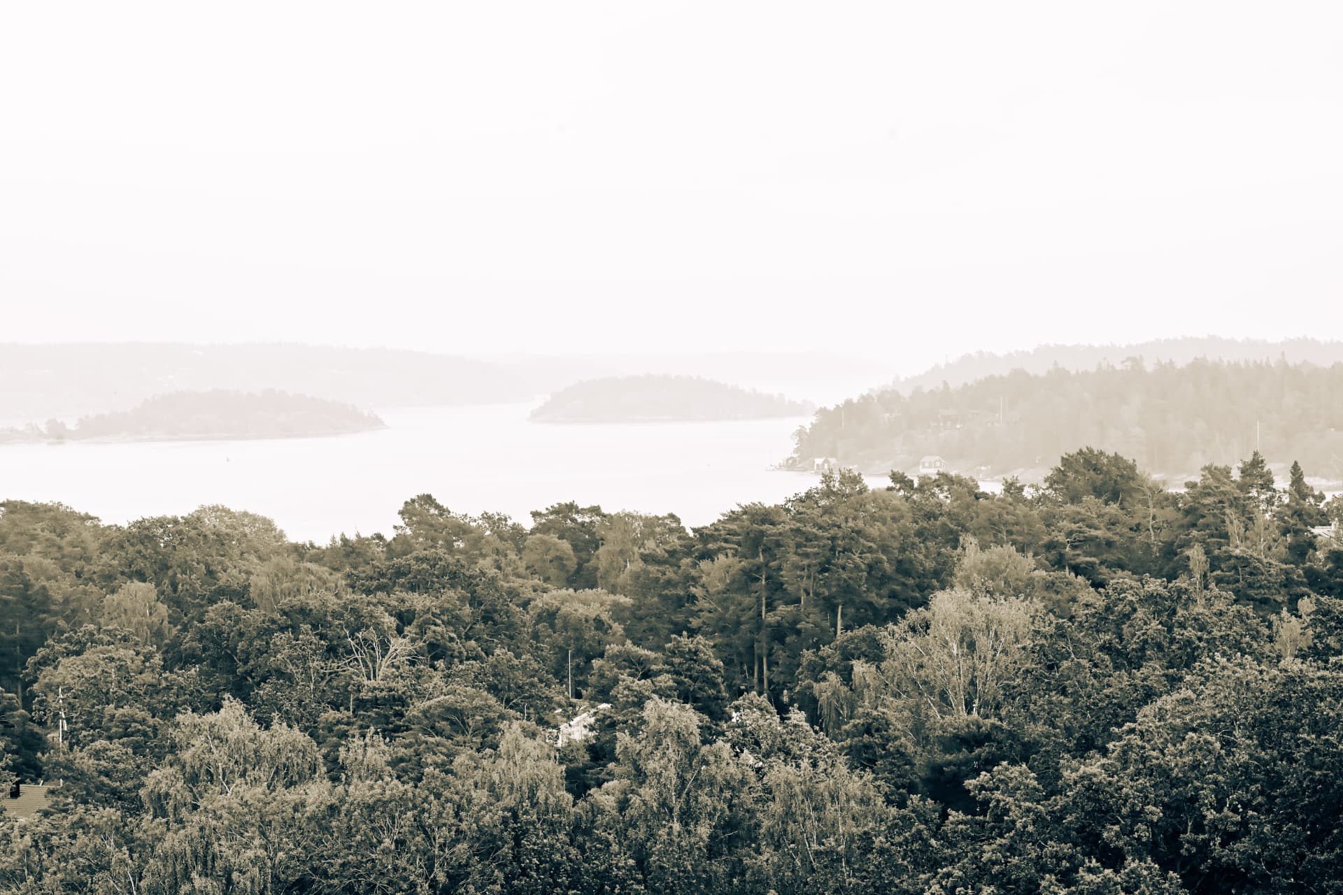 Morning fog over the Stockholm archipelago