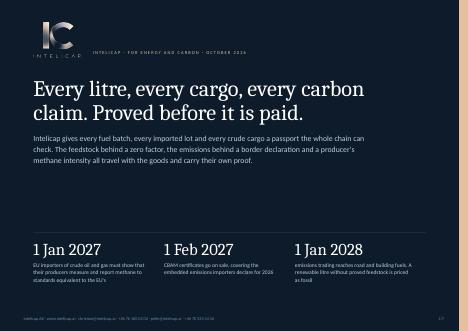 Cover of Market brief: energy and carbon